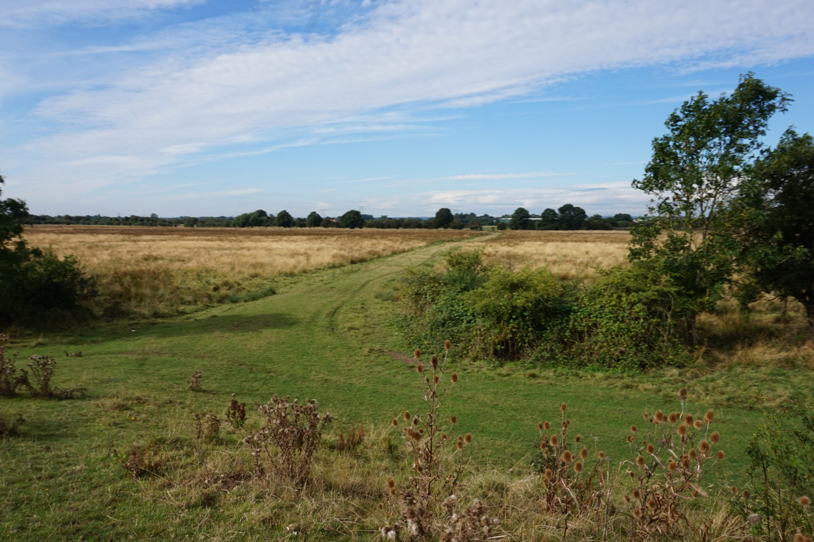 Test Field - Figham Pasture
