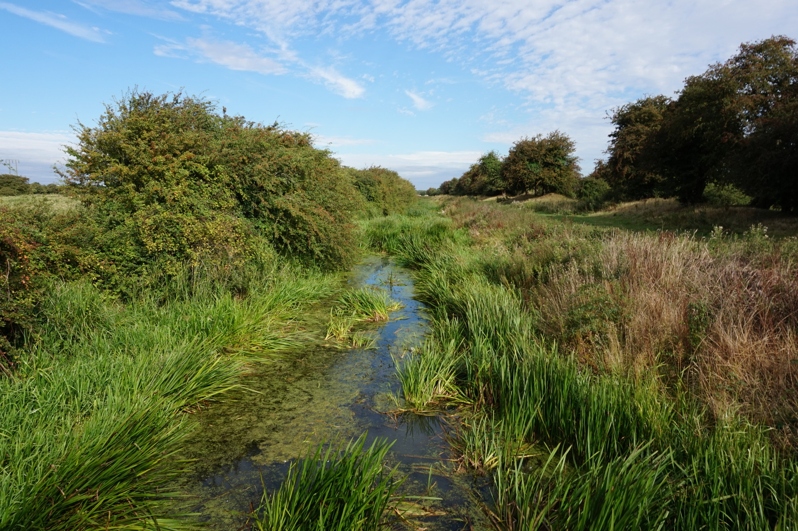 Test Field - Figham Pasture, view from the field