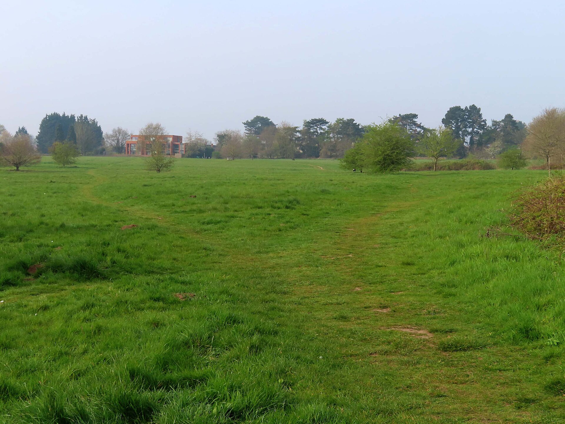 Test Field - Millers Meadow