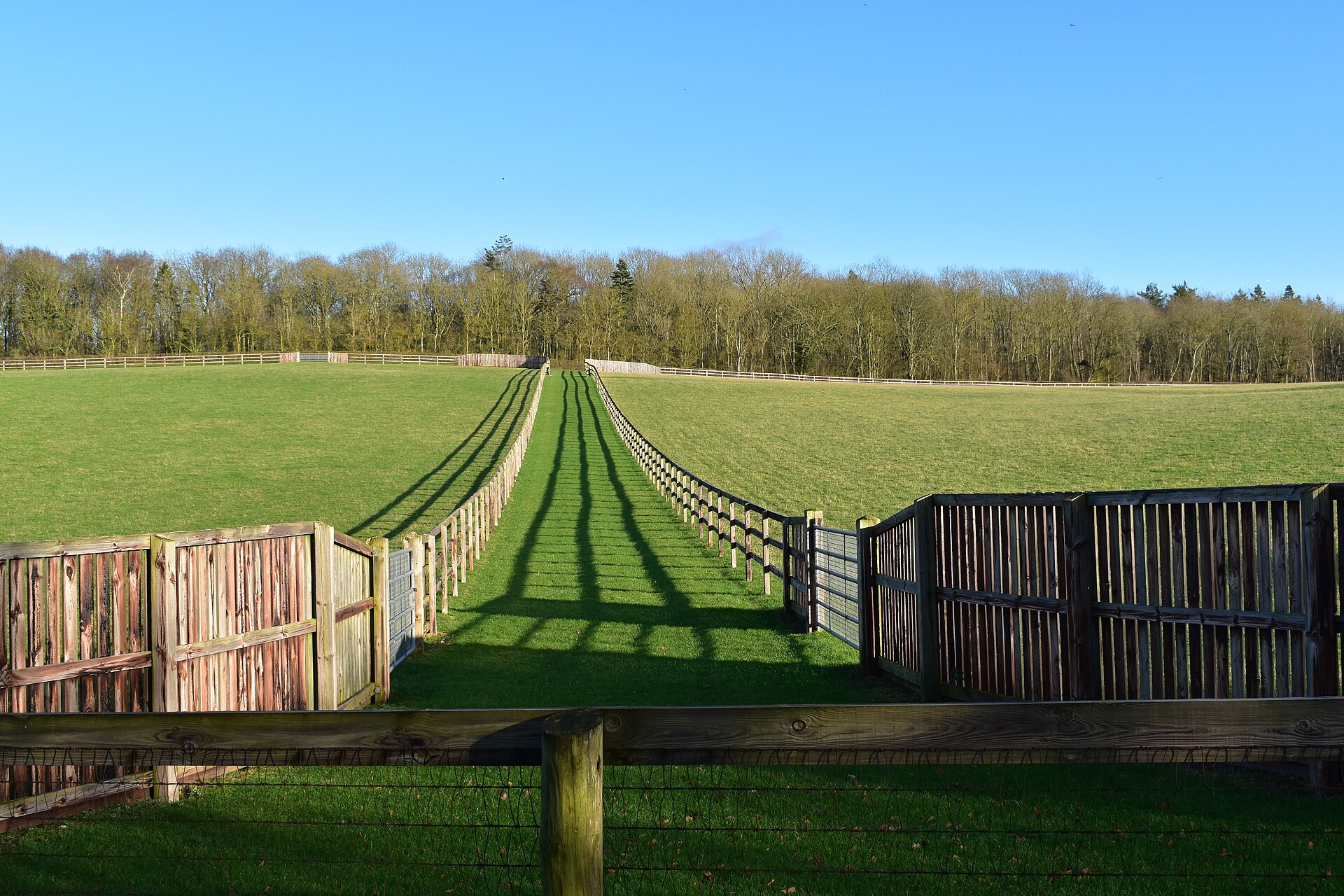 Test Field - Pudding Hill Paddock
